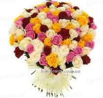 SALE -101 mutycoloured roses